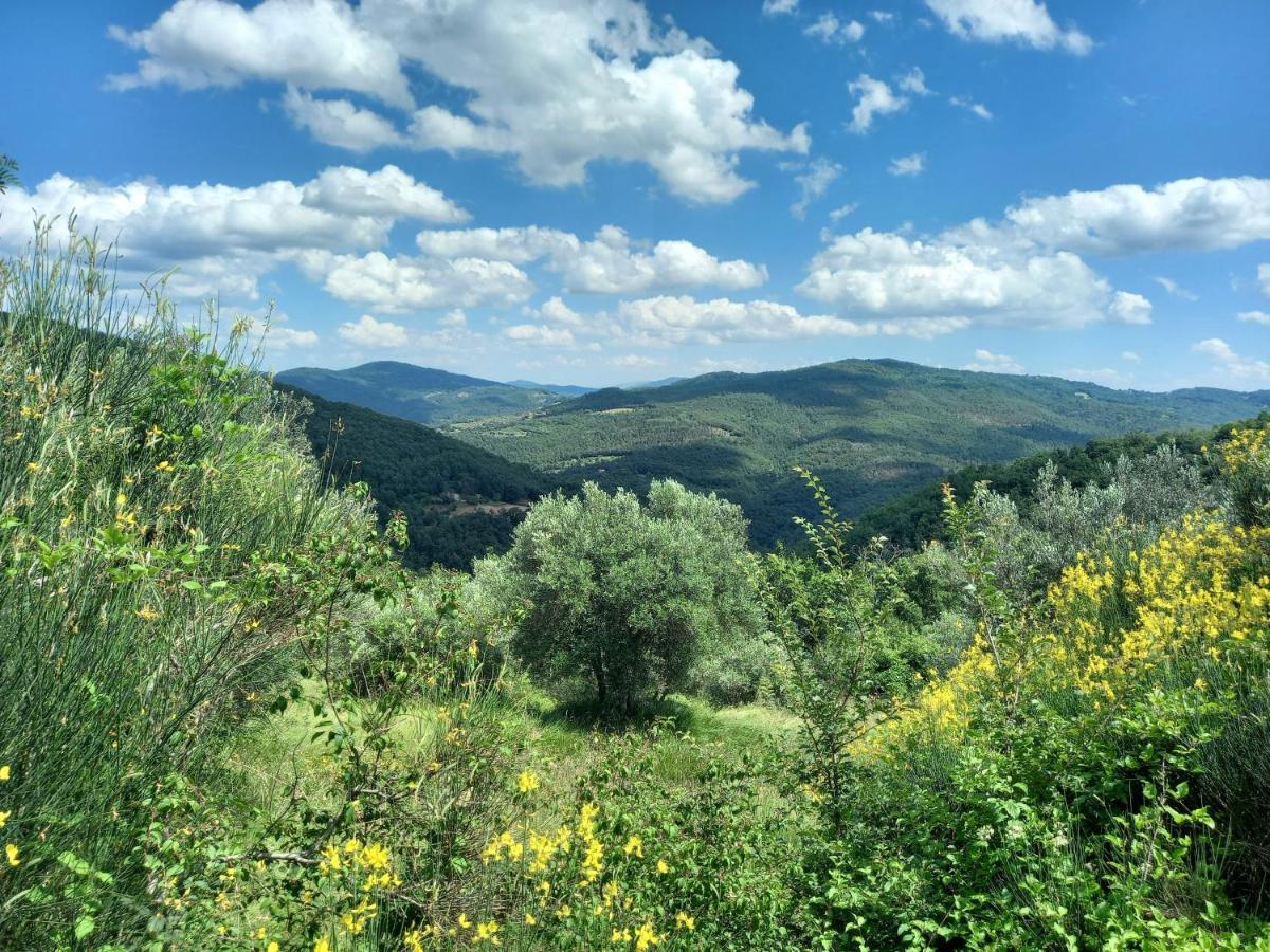 Valle Dame Cortona Dış mekan fotoğraf