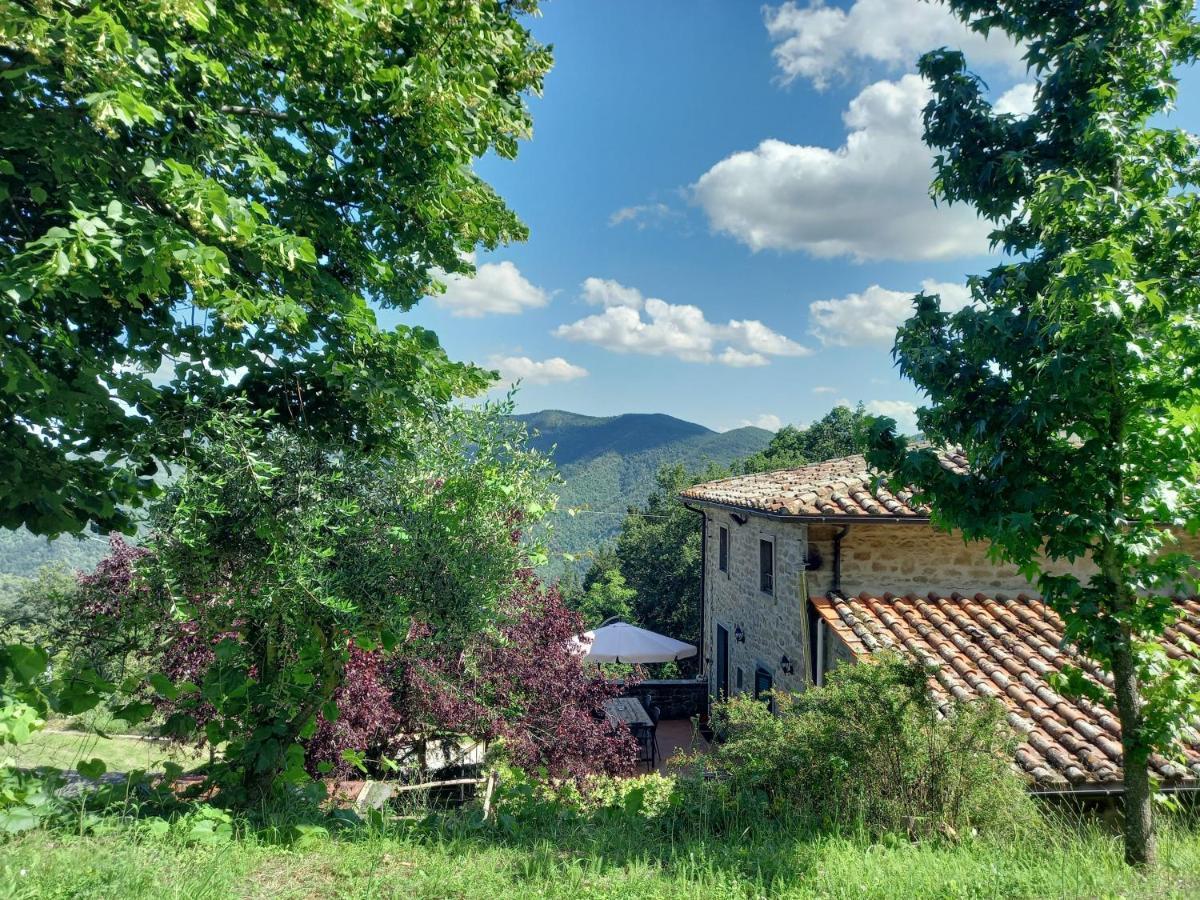 Valle Dame Cortona Dış mekan fotoğraf