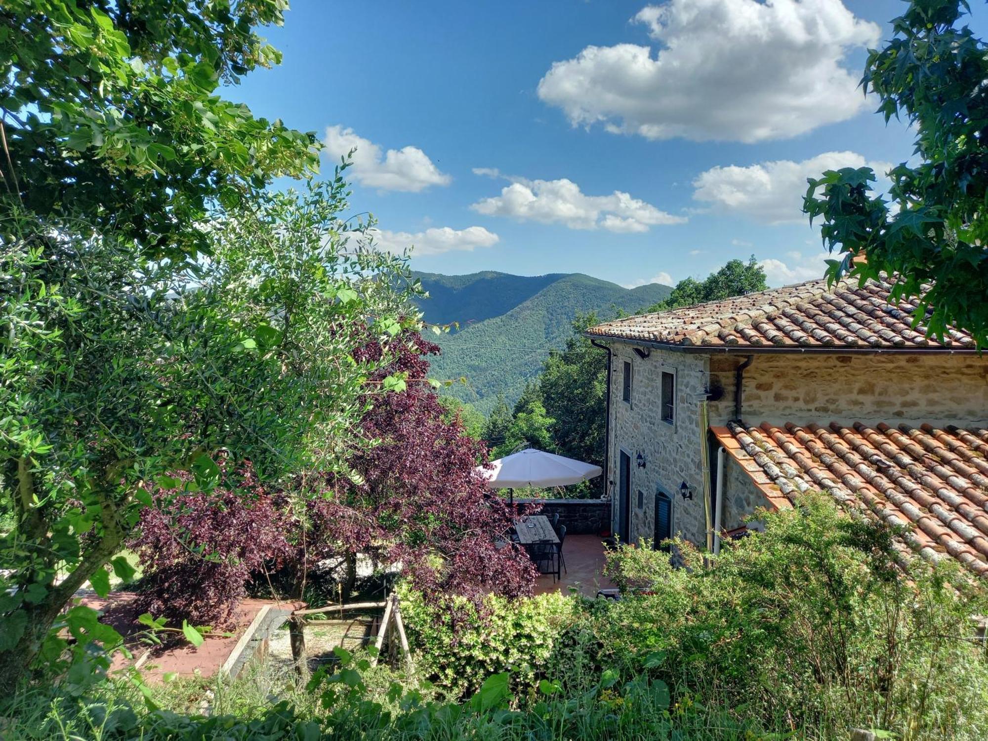 Valle Dame Cortona Dış mekan fotoğraf