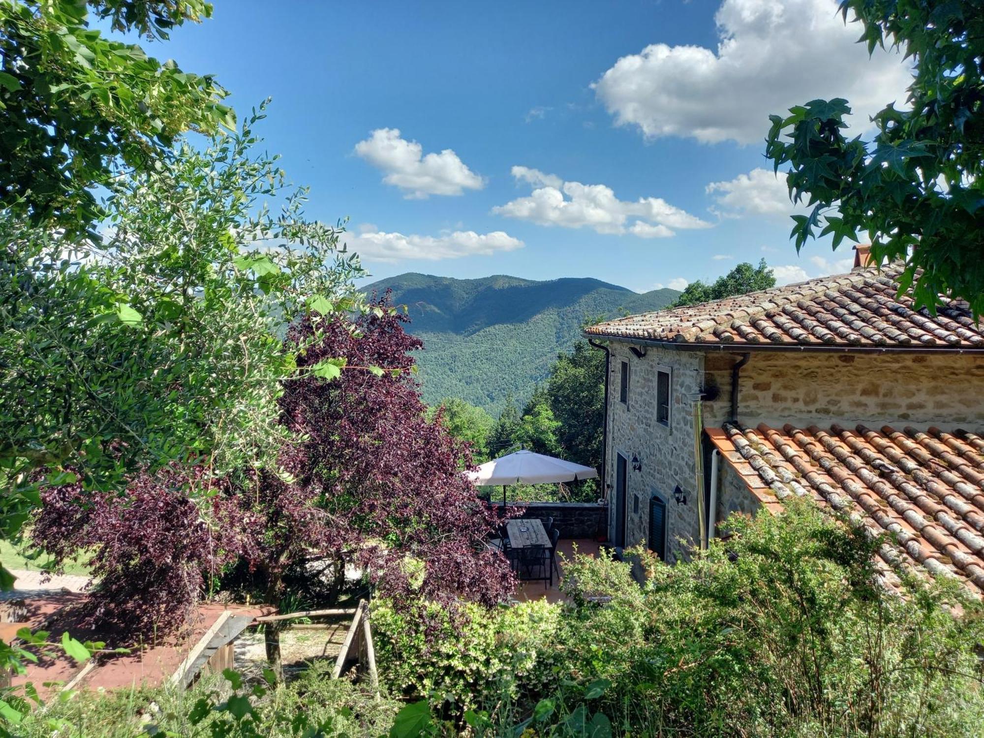 Valle Dame Cortona Dış mekan fotoğraf