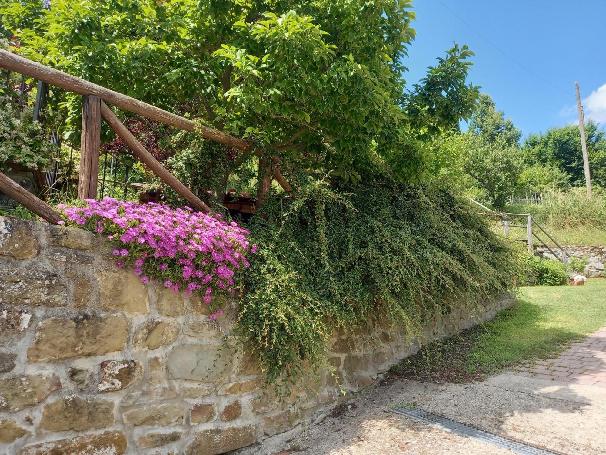 Valle Dame Cortona Dış mekan fotoğraf