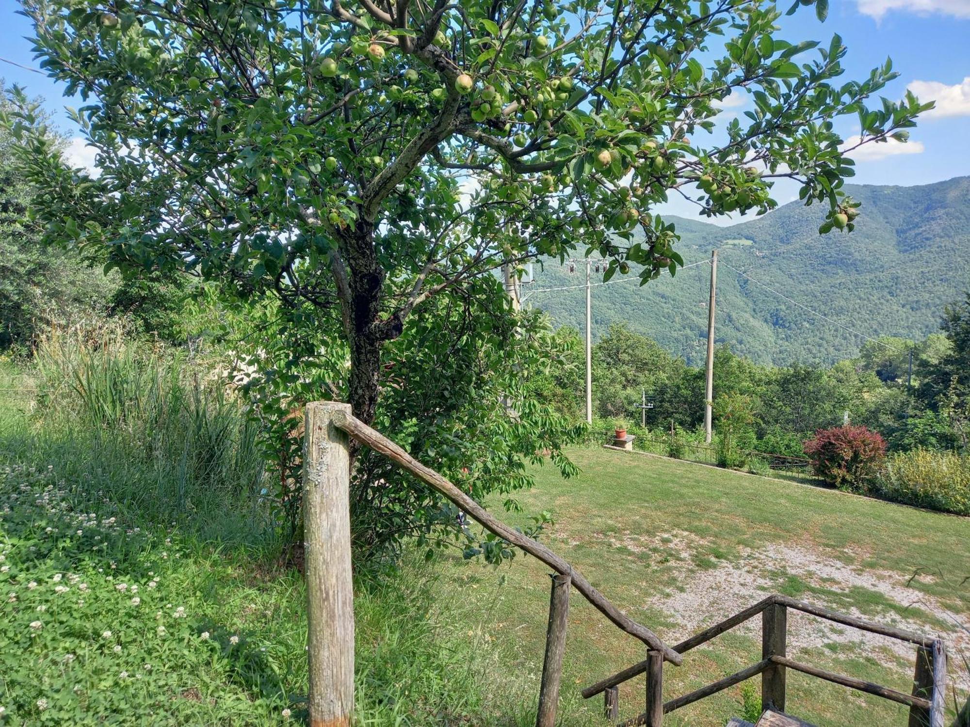Valle Dame Cortona Dış mekan fotoğraf